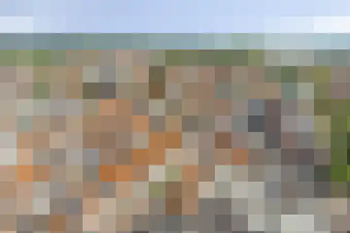 Nieuwe Noord 11 Hoorn thumbnail 69