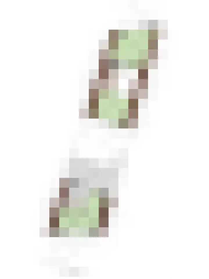 Nieuwe Noord 11 Hoorn thumbnail 74