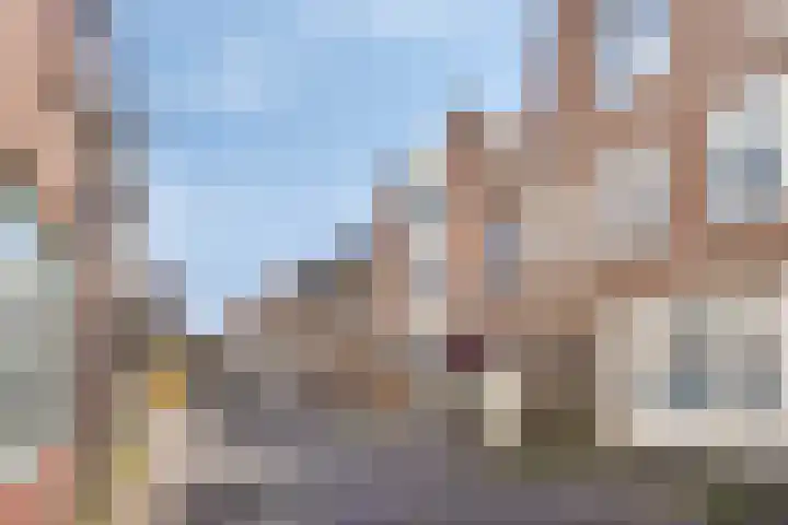 Nieuwe Noord 11 Hoorn thumbnail 8