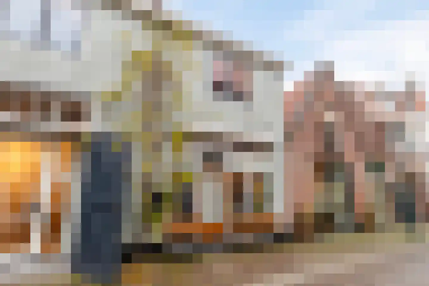 Nieuwe Noord 12 Hoorn