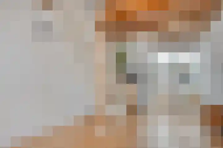 Nieuwe Noord 14 Hoorn thumbnail 12