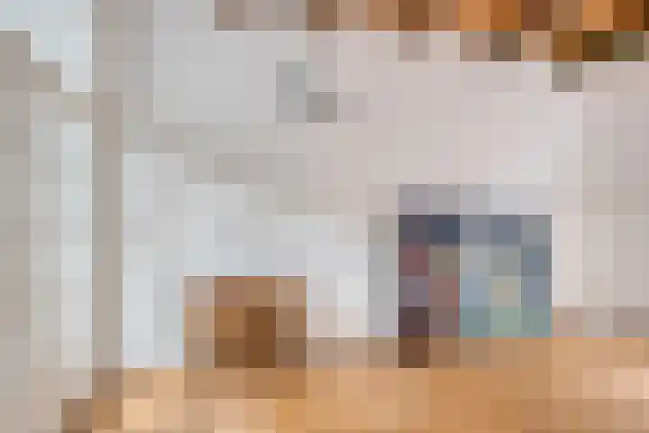 Nieuwe Noord 14 Hoorn thumbnail 13