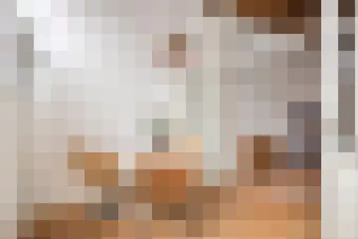 Nieuwe Noord 14 Hoorn thumbnail 14
