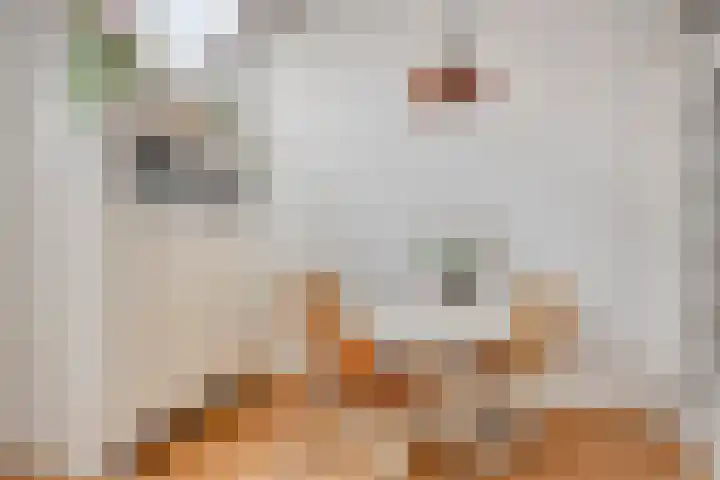 Nieuwe Noord 14 Hoorn thumbnail 15