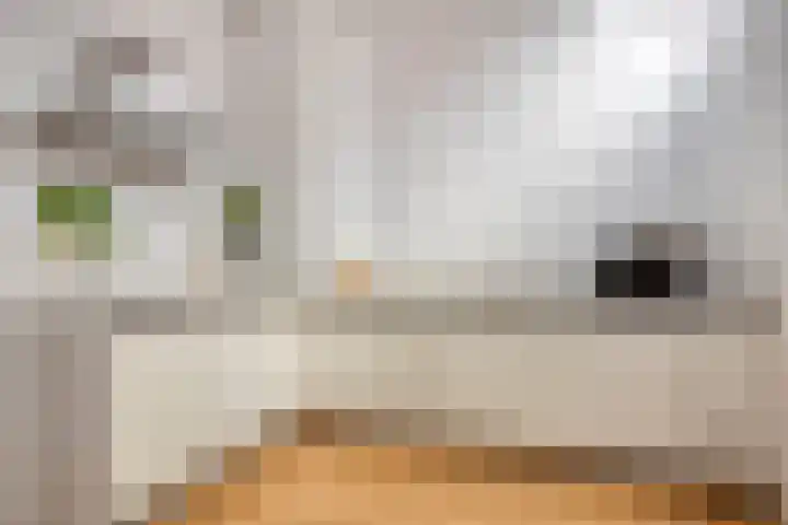 Nieuwe Noord 14 Hoorn thumbnail 16