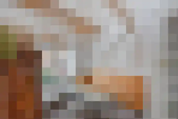 Nieuwe Noord 14 Hoorn thumbnail 24