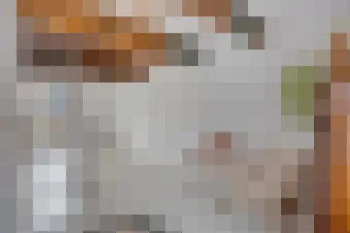 Nieuwe Noord 14 Hoorn thumbnail 25