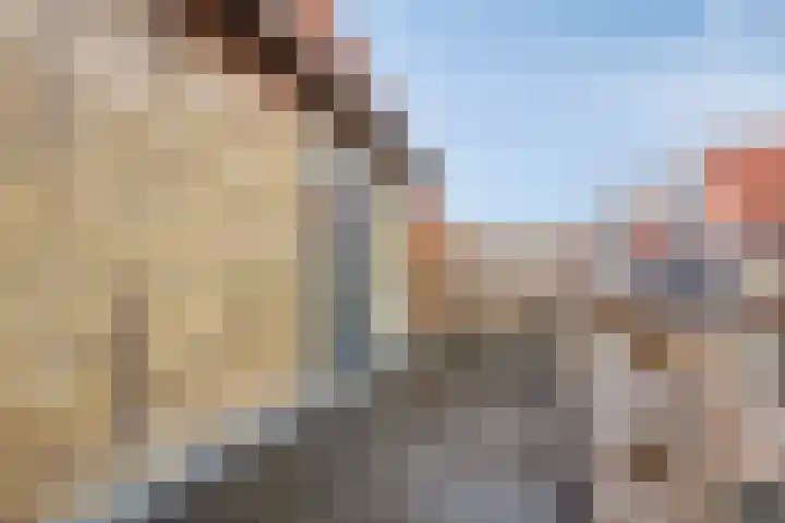 Nieuwe Noord 14 Hoorn thumbnail 31