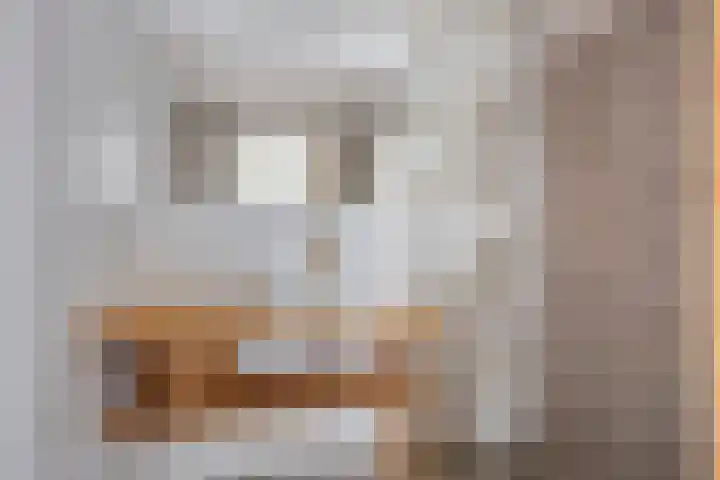 Nieuwe Noord 14 Hoorn thumbnail 4