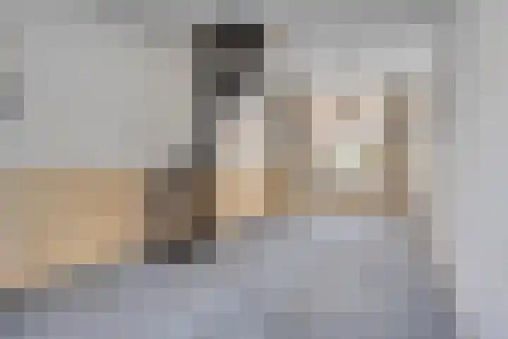 Nieuwe Noord 17 Hoorn thumbnail 10