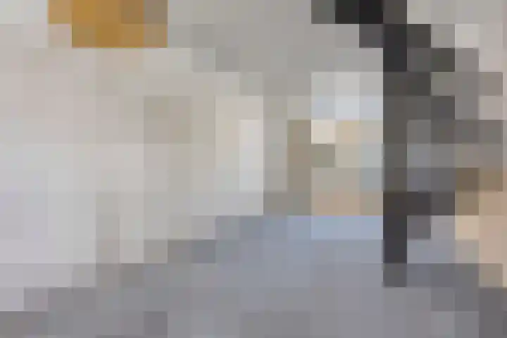 Nieuwe Noord 17 Hoorn thumbnail 11
