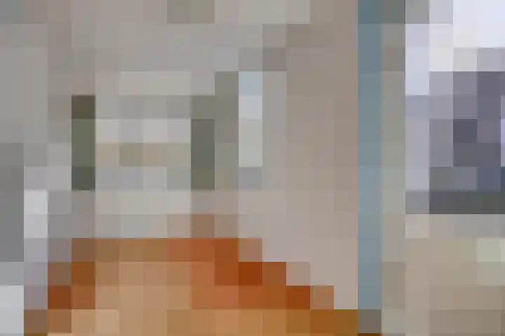 Nieuwe Noord 17 Hoorn thumbnail 23