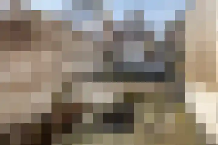 Nieuwe Noord 17 Hoorn thumbnail 26