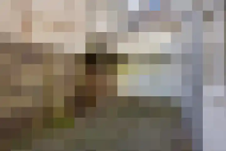 Nieuwe Noord 17 Hoorn thumbnail 27