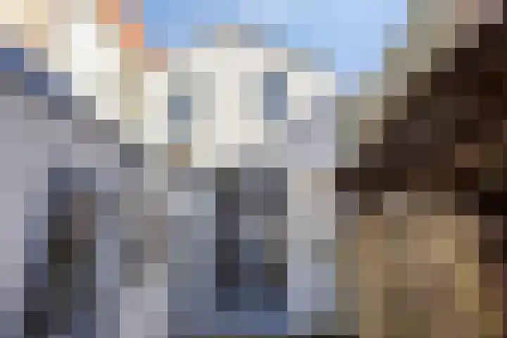 Nieuwe Noord 17 Hoorn thumbnail 29