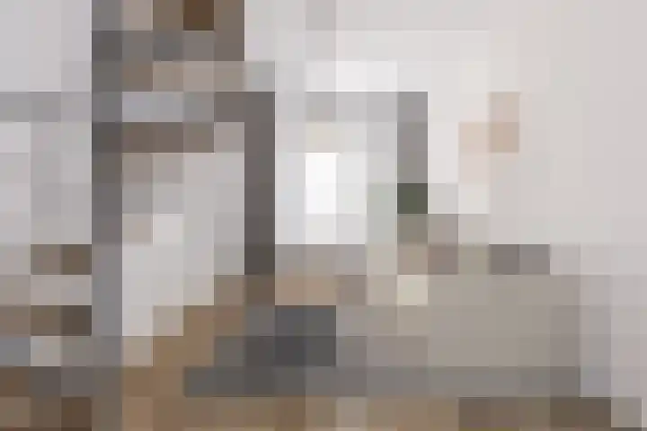 Nieuwe Noord 17 Hoorn thumbnail 8