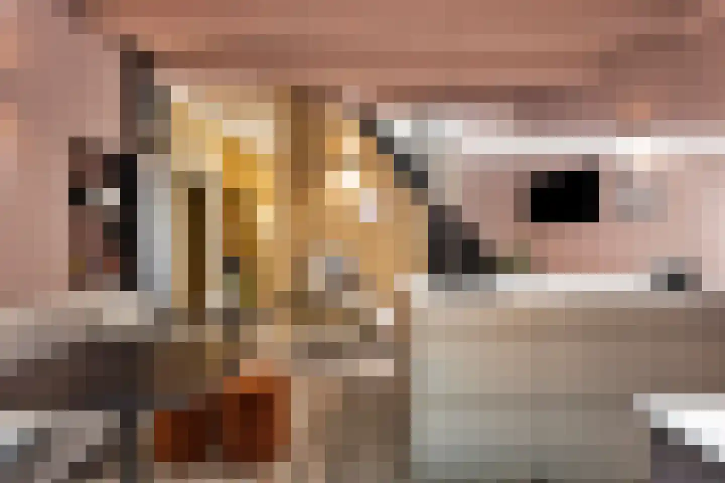 Nieuwe Noord 22 Hoorn thumbnail 13