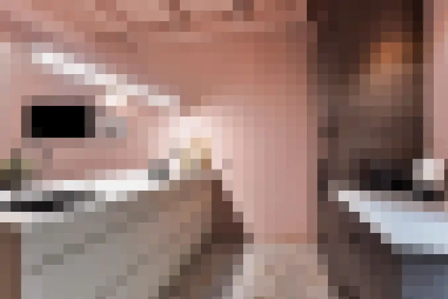 Nieuwe Noord 22 Hoorn thumbnail 14