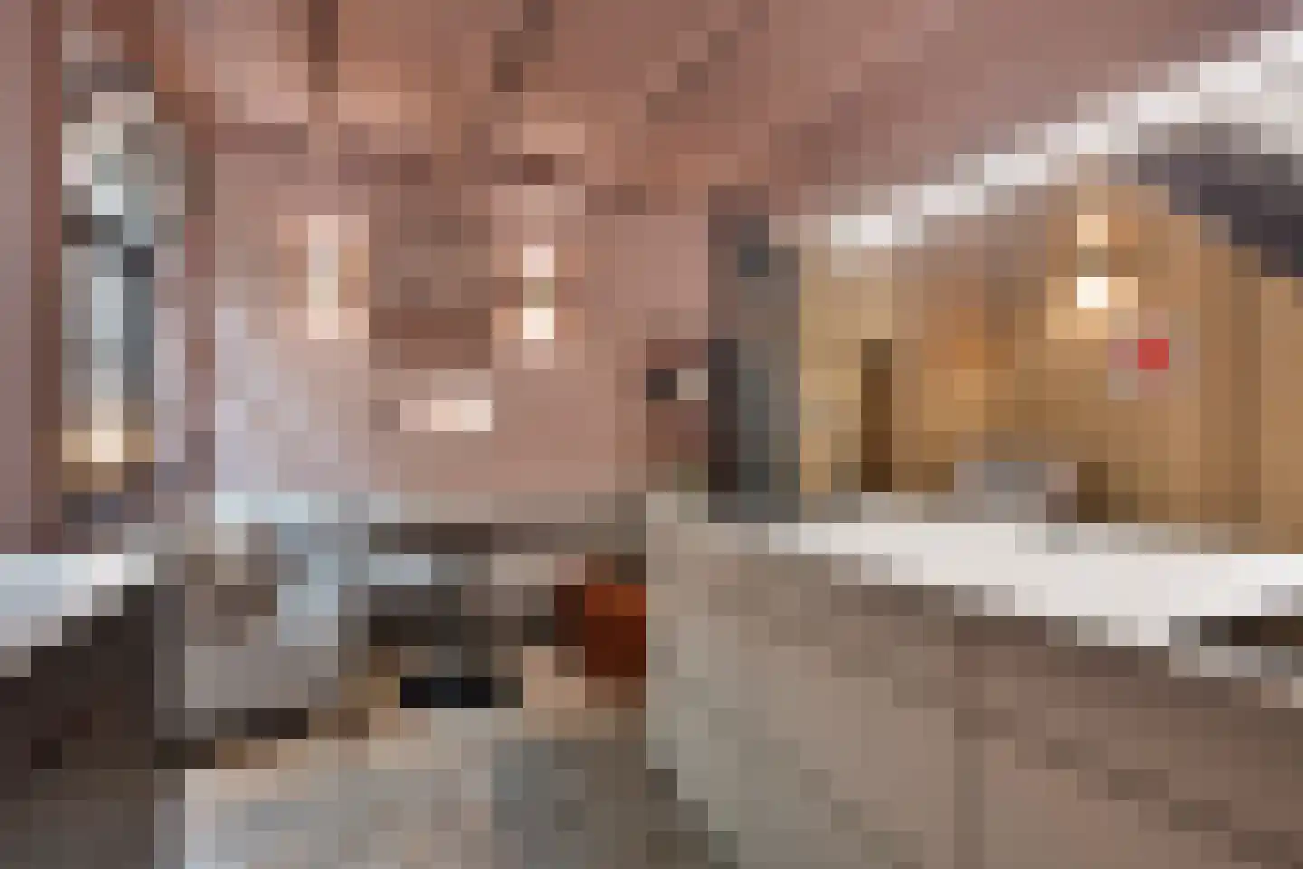Nieuwe Noord 22 Hoorn thumbnail 15