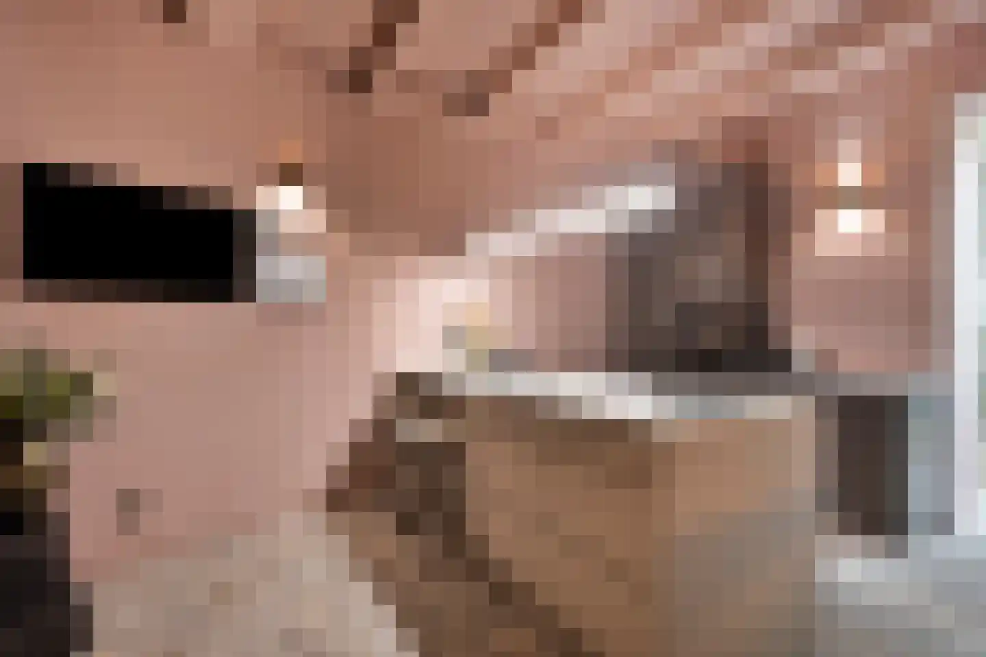 Nieuwe Noord 22 Hoorn thumbnail 19