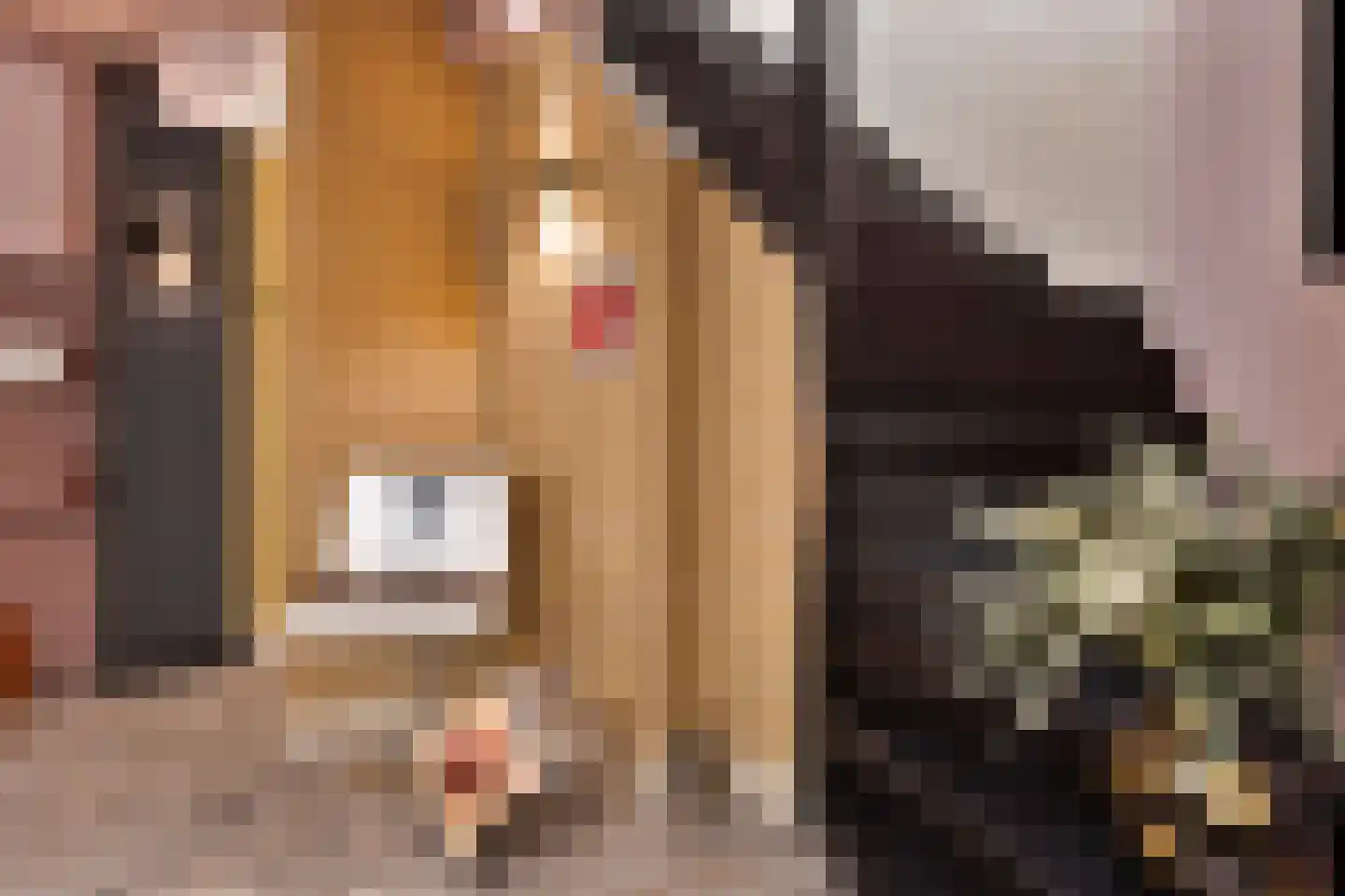 Nieuwe Noord 22 Hoorn thumbnail 21