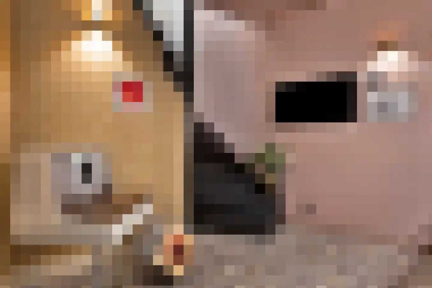 Nieuwe Noord 22 Hoorn thumbnail 22