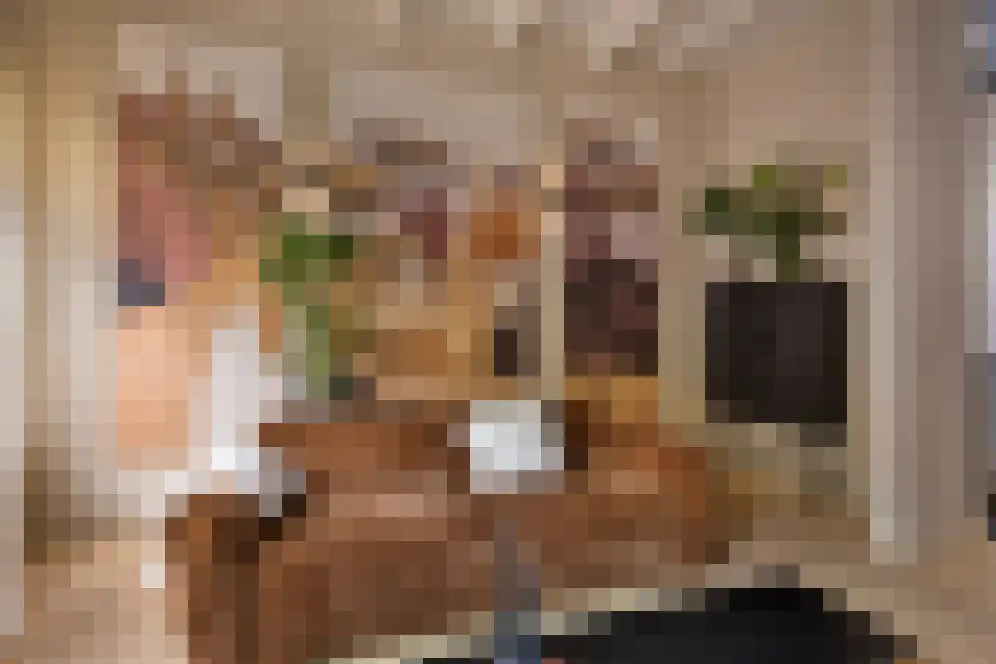 Nieuwe Noord 22 Hoorn thumbnail 27