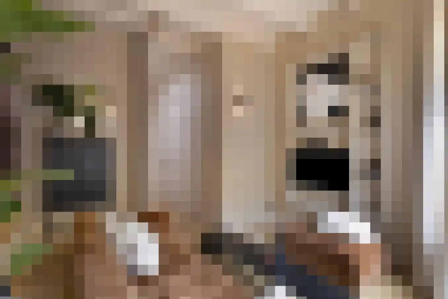 Nieuwe Noord 22 Hoorn thumbnail 28