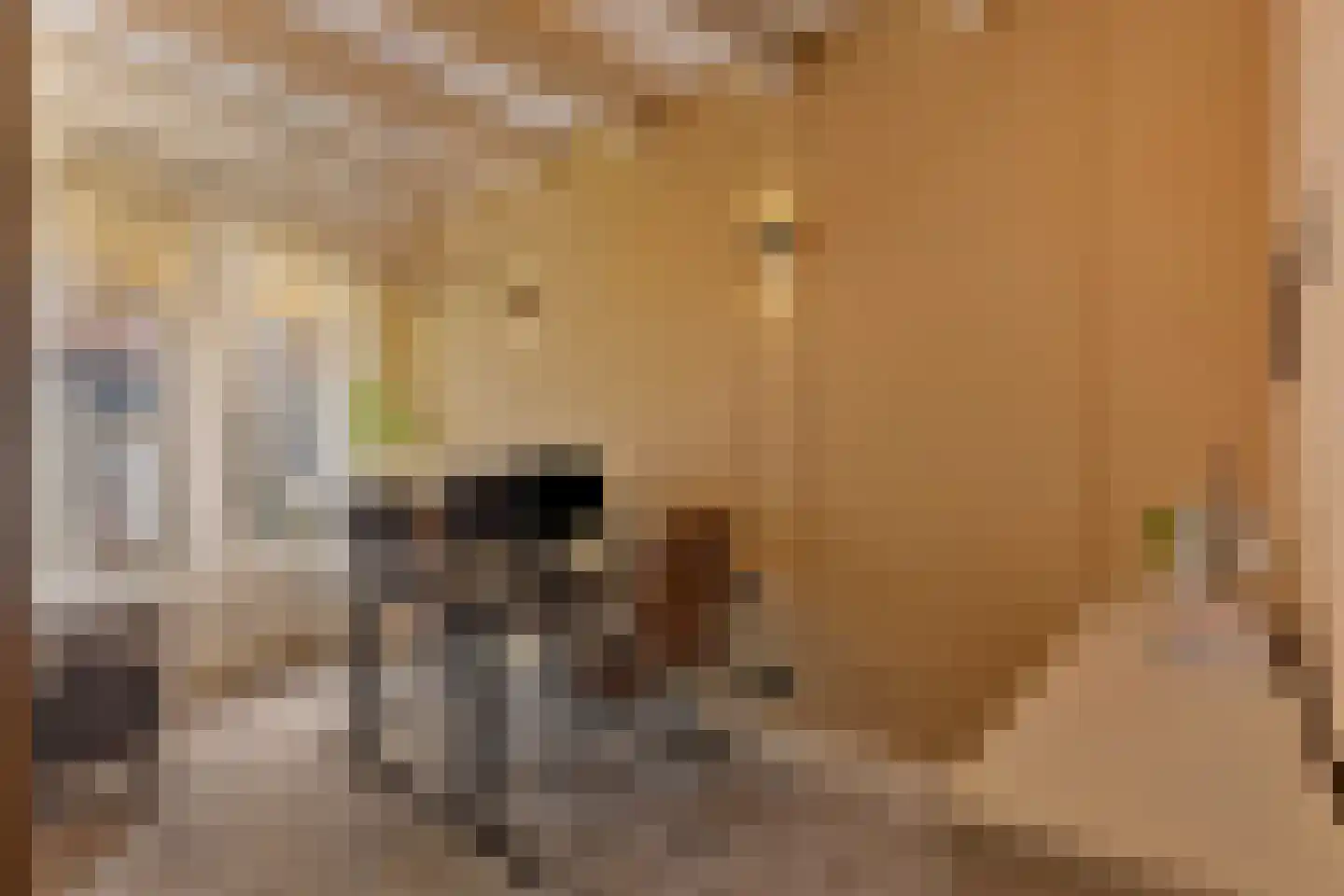 Nieuwe Noord 22 Hoorn thumbnail 7