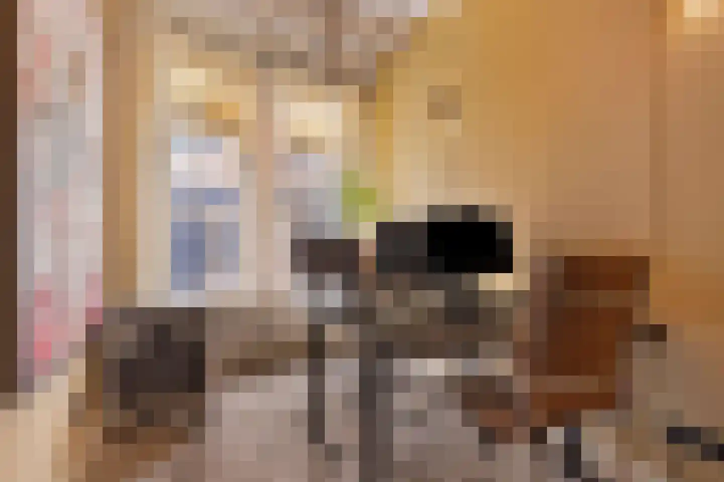 Nieuwe Noord 22 Hoorn thumbnail 8