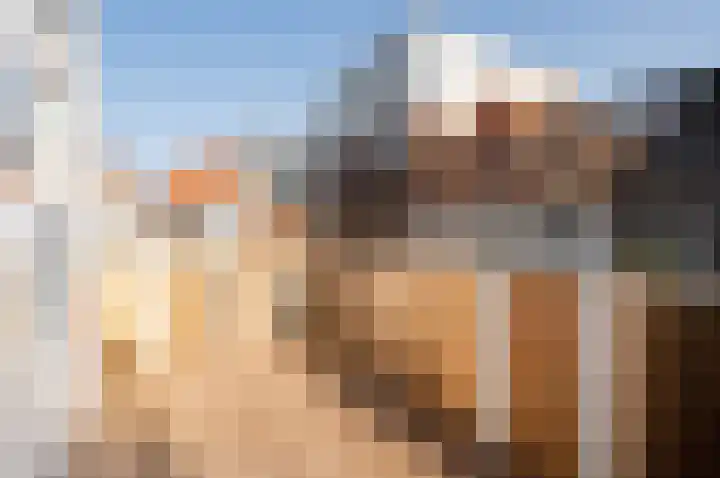 Nieuwe Noord 24 A Hoorn thumbnail 23