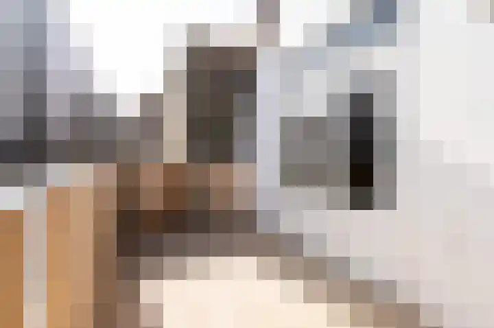 Nieuwe Noord 24 A Hoorn thumbnail 25