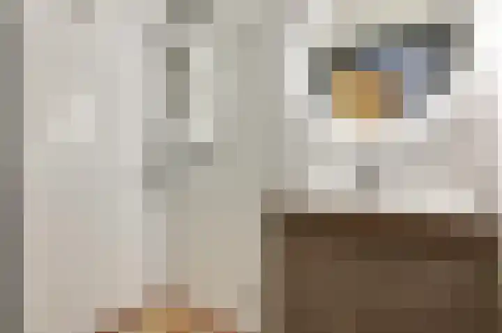 Nieuwe Noord 24 Hoorn thumbnail 12
