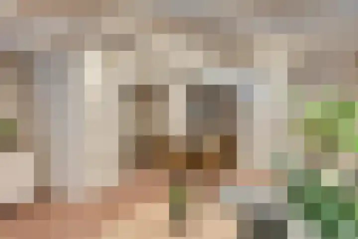 Nieuwe Noord 30 Hoorn thumbnail 14