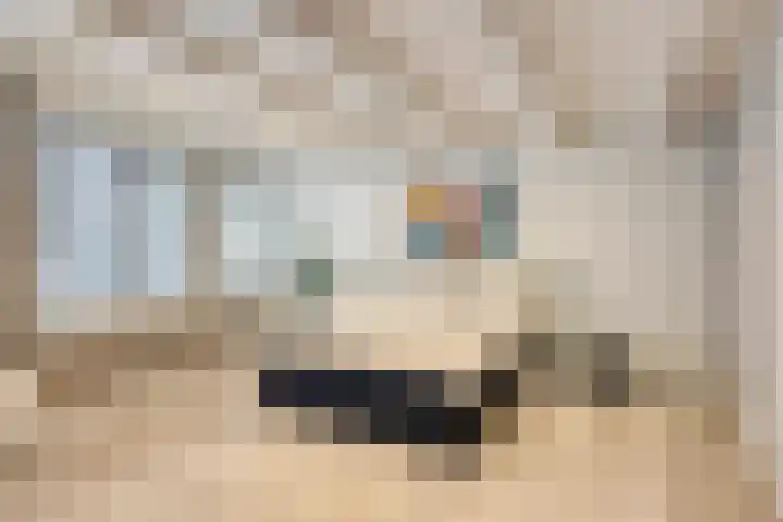 Nieuwe Noord 30 Hoorn thumbnail 4