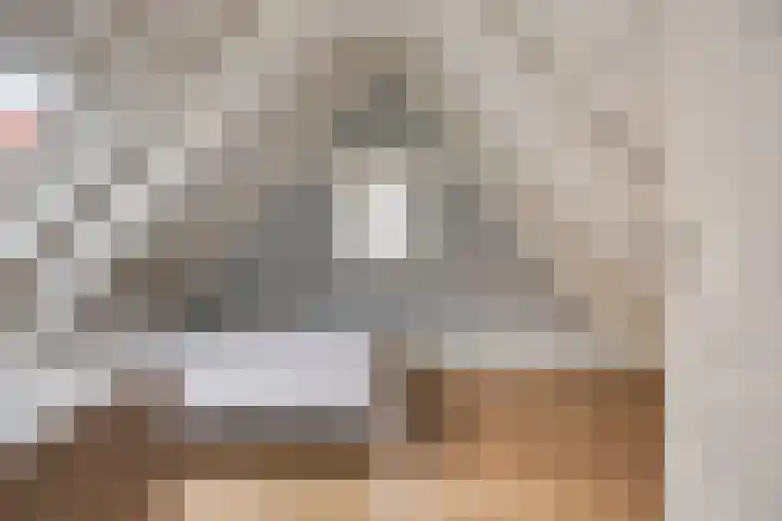 Nieuwe Noord 30 Hoorn thumbnail 5