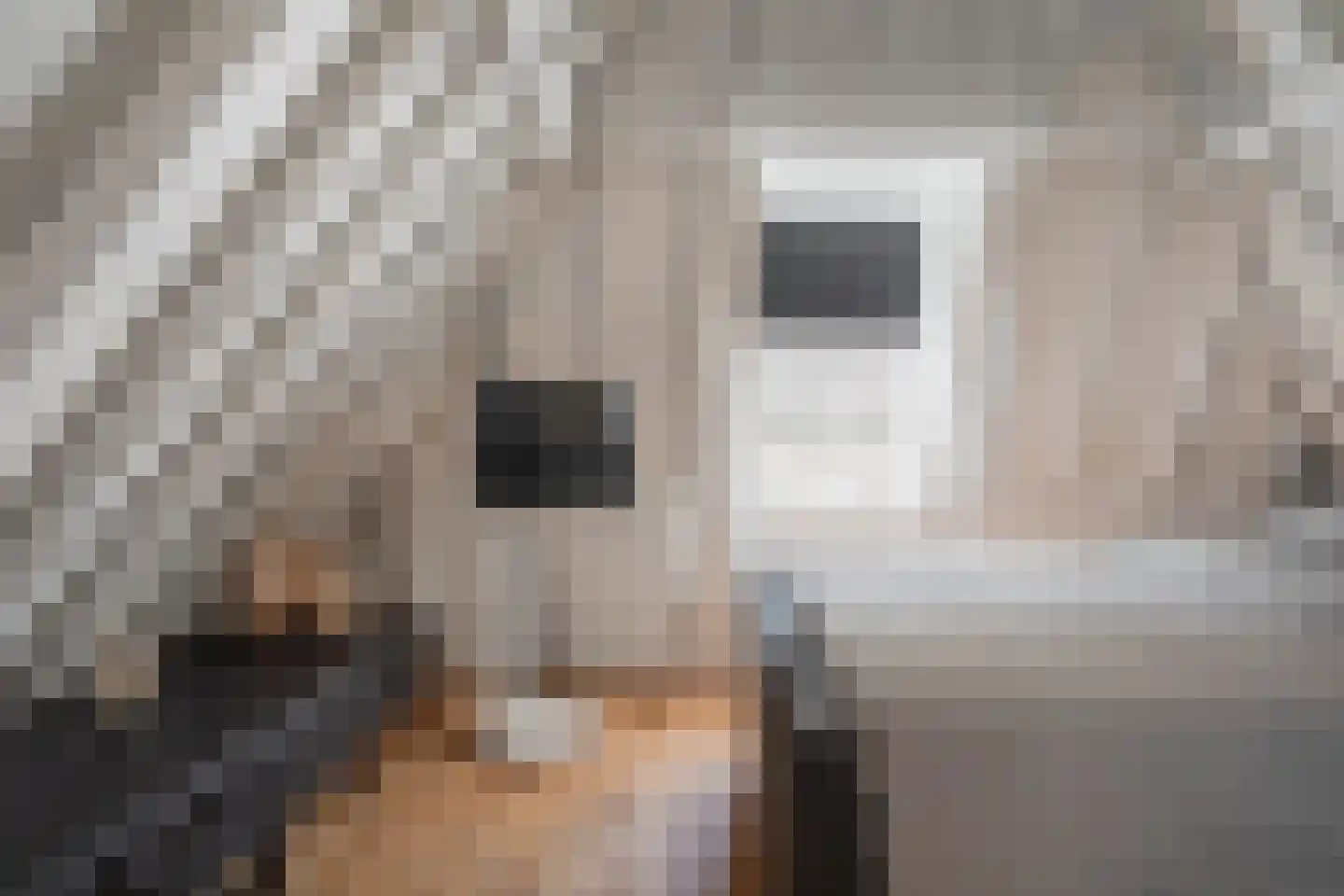 Nieuwe Noord 32 B Hoorn thumbnail 21
