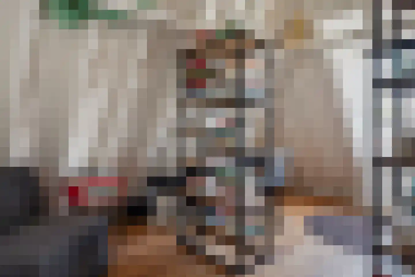 Nieuwe Noord 32 B Hoorn thumbnail 25