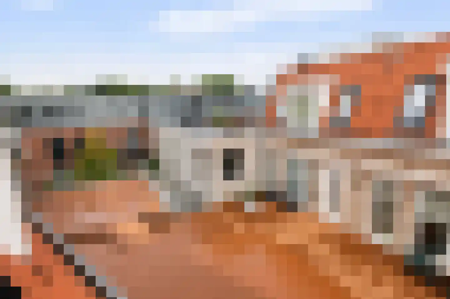Nieuwe Noord 36 K Hoorn thumbnail 21