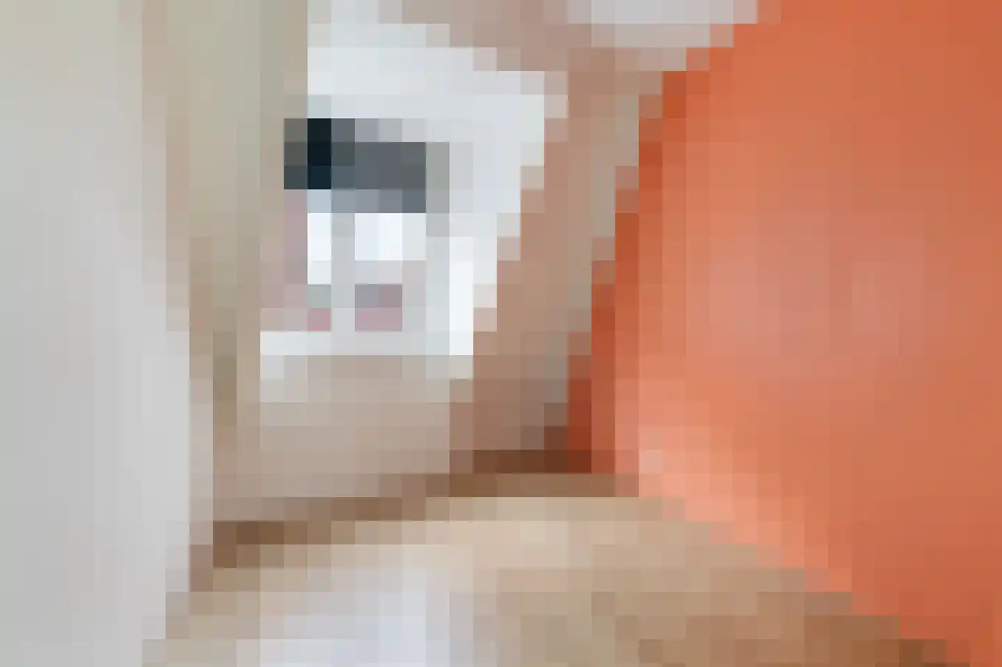 Nieuwe Noord 36 K Hoorn thumbnail 9