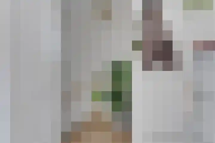 Nieuwe Noord 38 P Hoorn thumbnail 10