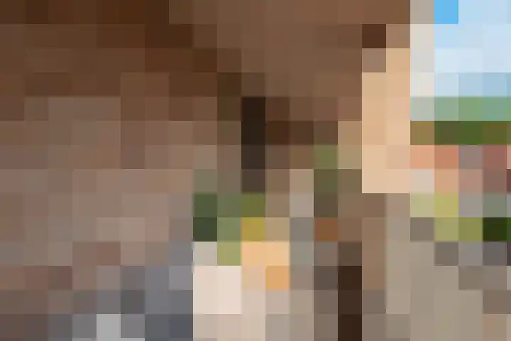 Nieuwe Noord 38 P Hoorn thumbnail 34