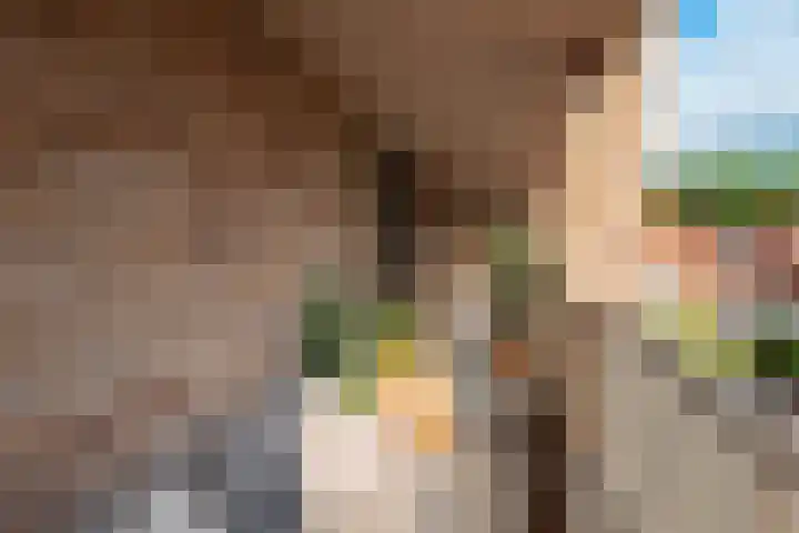 Nieuwe Noord 38 P Hoorn thumbnail 6