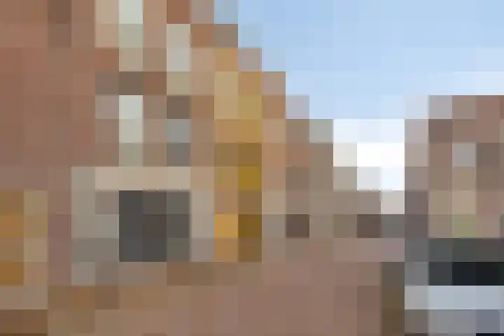Nieuwe Noord 38 Q Hoorn thumbnail 19