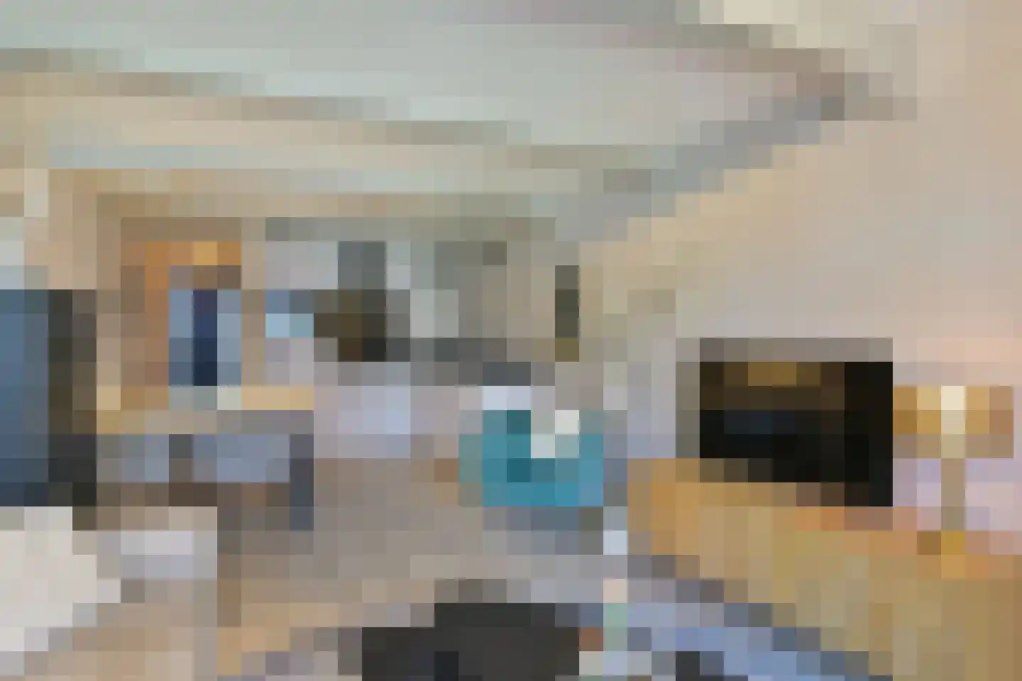 Nieuwe Noord 47 B Hoorn thumbnail 10