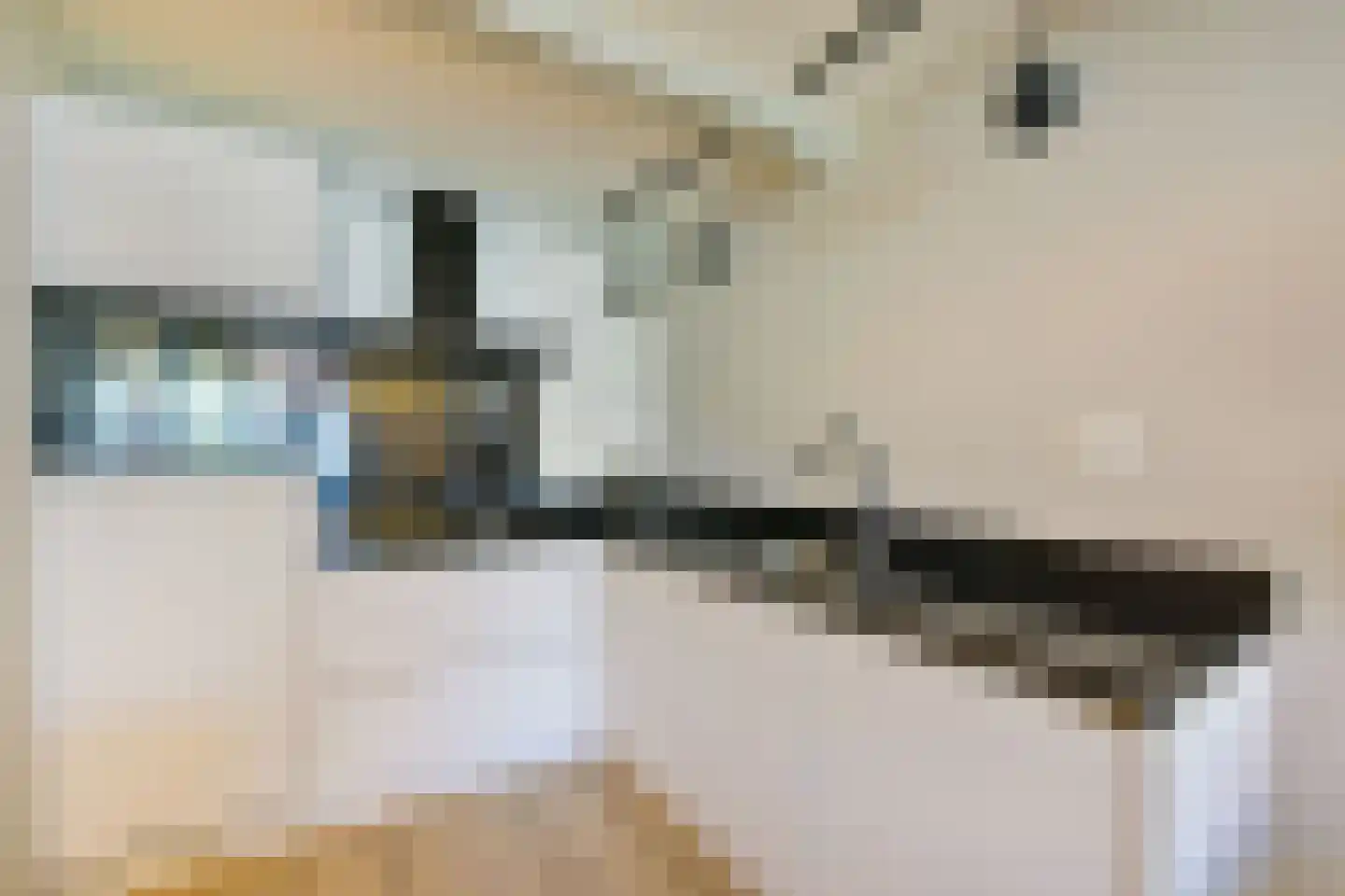 Nieuwe Noord 47 B Hoorn thumbnail 14
