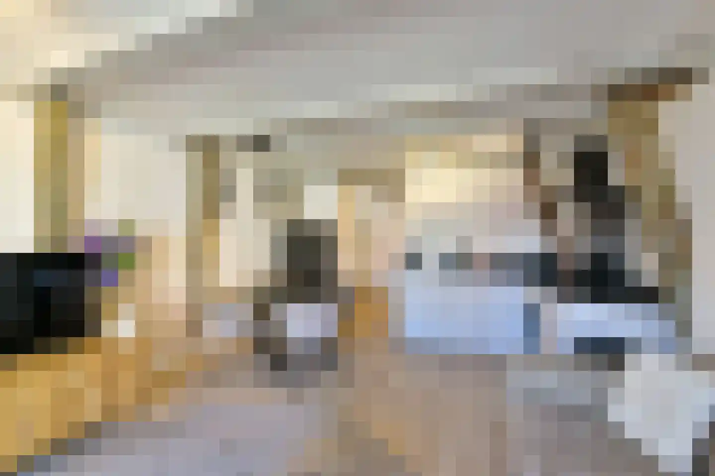 Nieuwe Noord 47 Hoorn thumbnail 16
