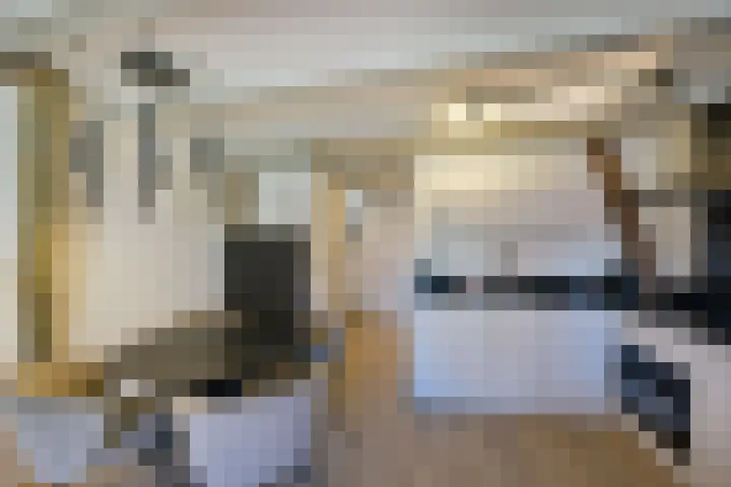 Nieuwe Noord 47 Hoorn thumbnail 17