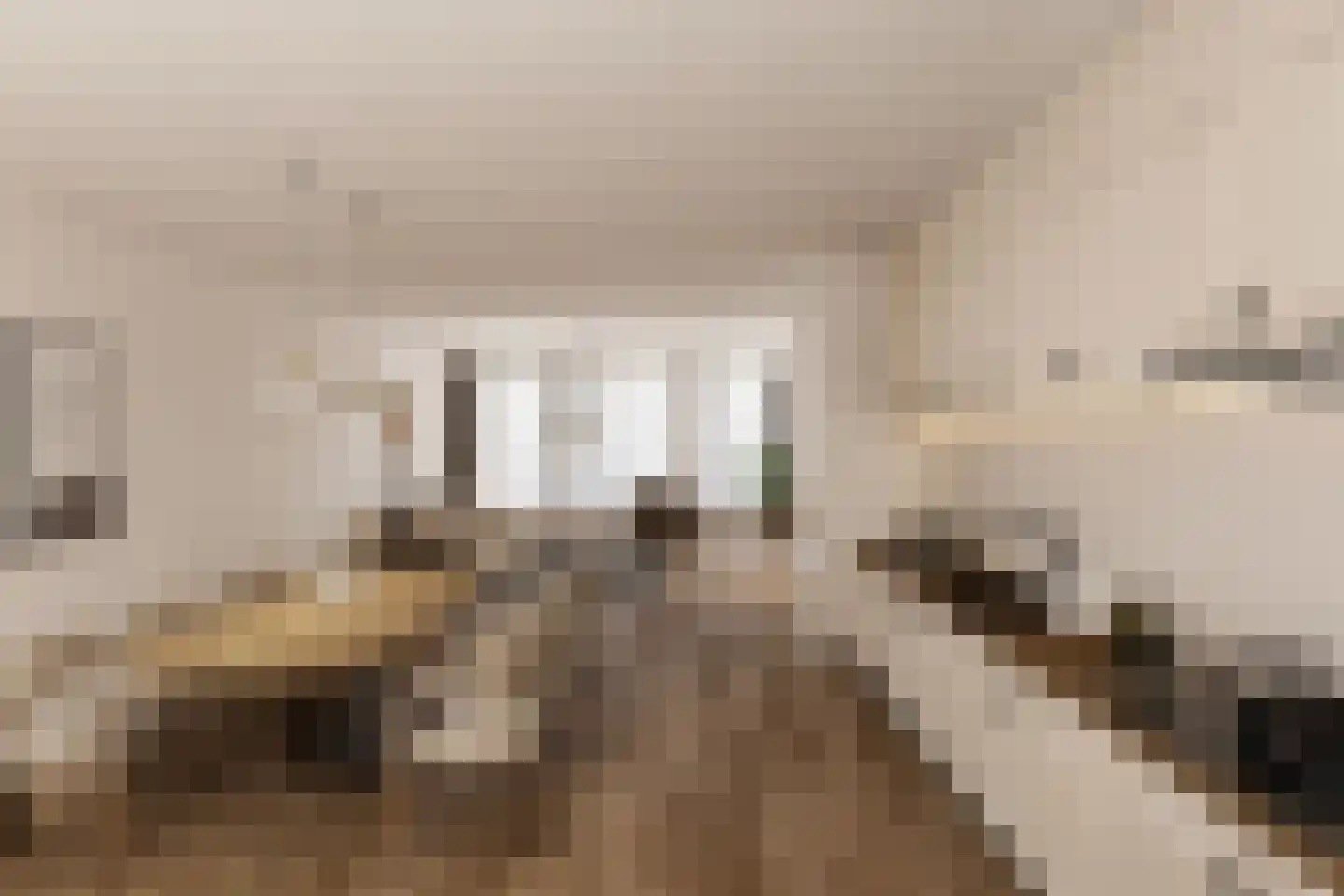 Nieuwe Noord 5 Hoorn thumbnail 17