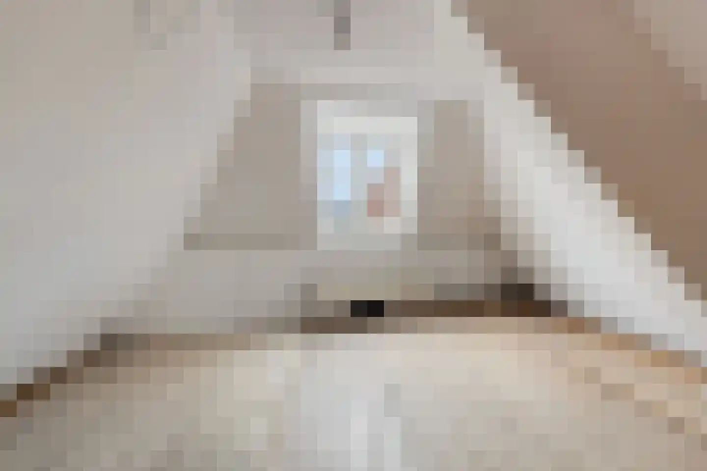 Nieuwe Noord 5 Hoorn thumbnail 34